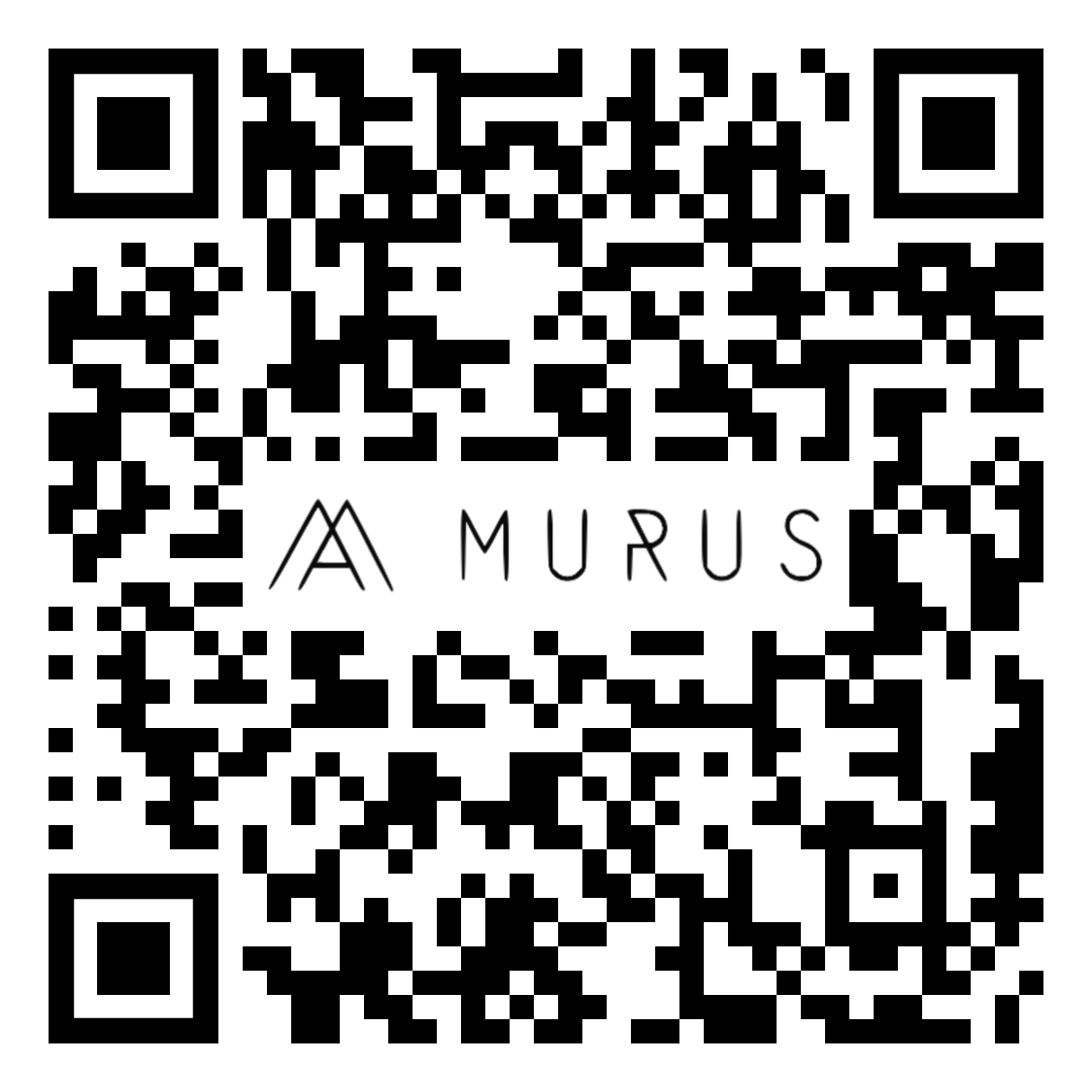 murus painting visualisation